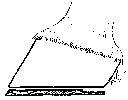 SHOE WITH A 'DROPPED' HEEL.