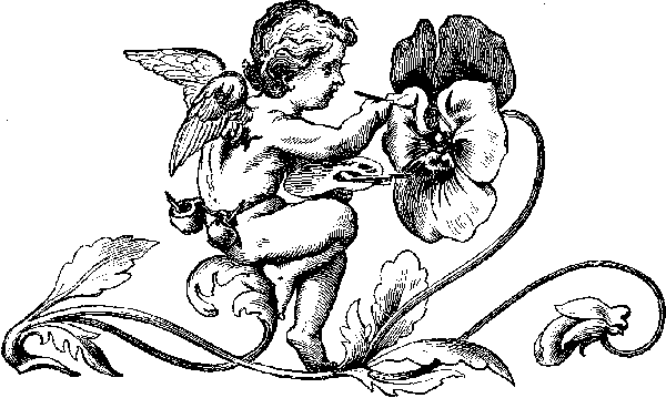 If I Were a Fairy.