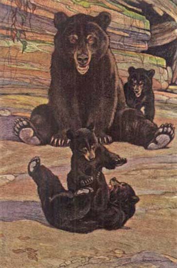 RECREATION IS AS COMMON AMONG ANIMALS AS IT IS AMONG CHILDREN.