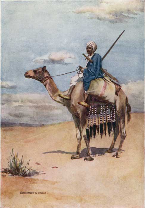 PLATE 12.  A DESERT POSTMAN.