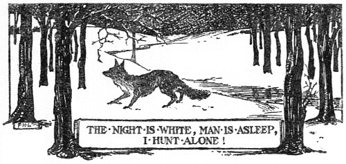 The Night is White, Man is asleep, I hunt alone!