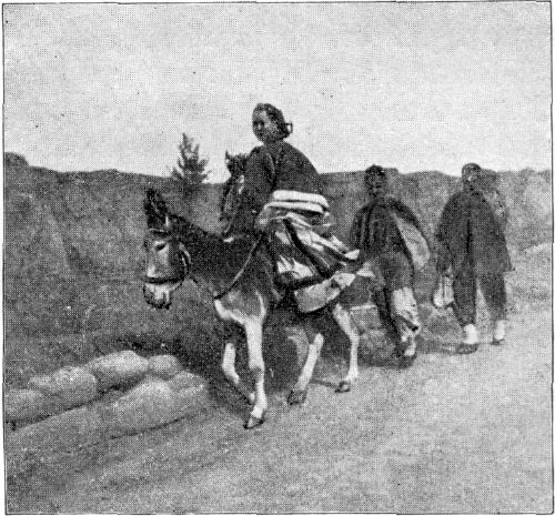 A CHINESE BRIDE.