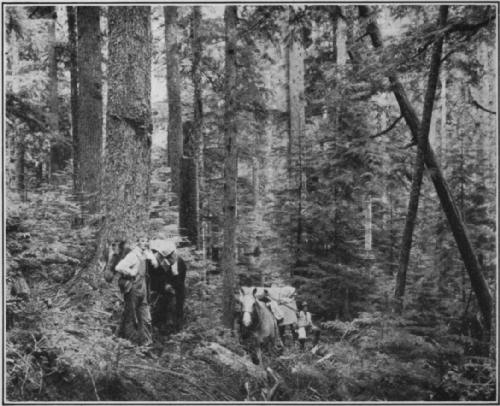 Fig. 10.