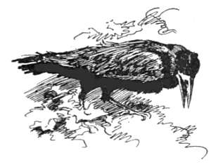 i052