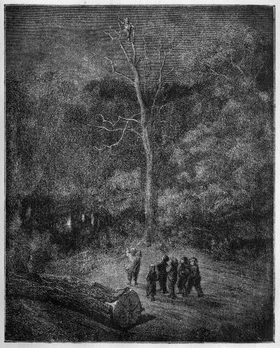 Der kleine Däumling klettert auf einen Baum und sieht ein Licht