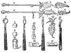 Fig. 38.—Espirales.
