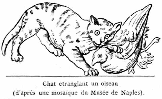 Chat étranglant un oiseau (d'après une mosaïque du Musée de Naples).