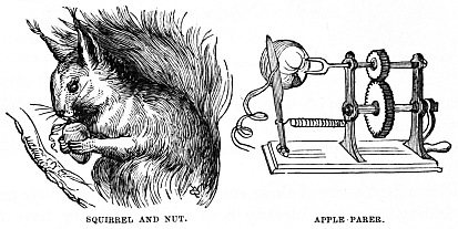 Image unavailable: SQUIRREL AND NUT. APPLE PARER.