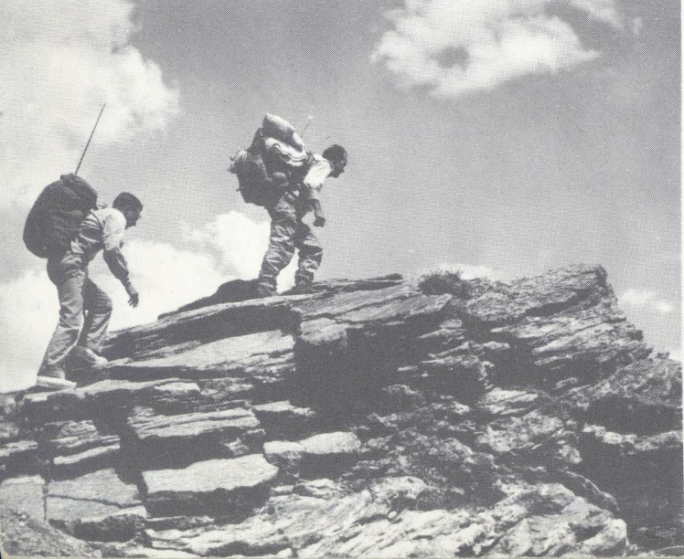 Hikers.