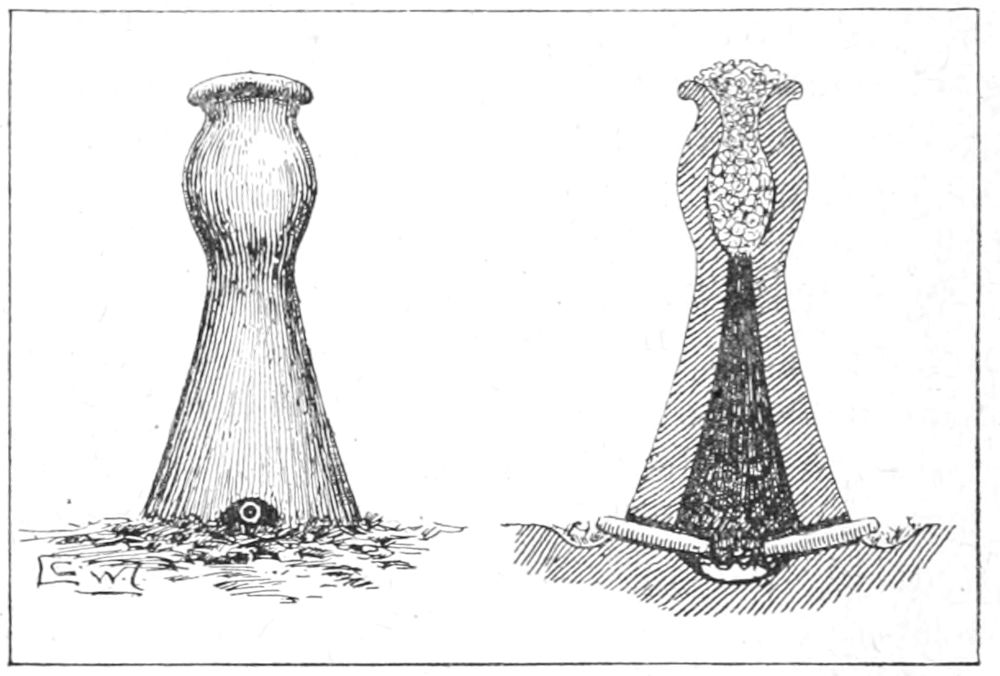 Primitive Smelting Furnace, and Section of same, showing Blast-Pipes, Fuel, and Ore