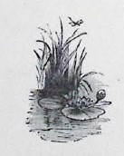 image038