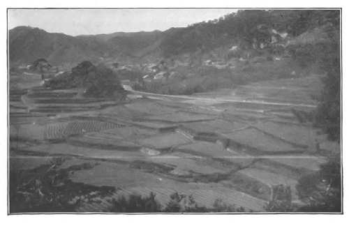 RICE-FIELDS
