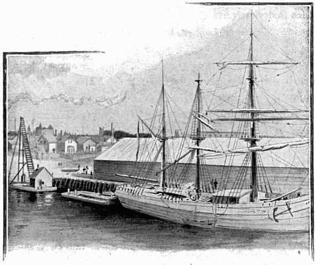 VICTORIA.—DESSIN DE BERTEAULT, D'APRS UN CROQUIS DE
L'AUTEUR.
