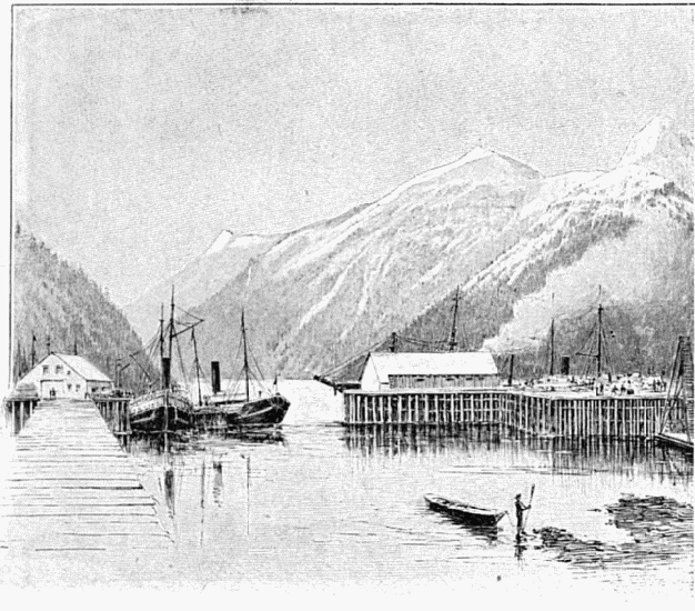 VUE DE SKAGWAY.—DESSIN DE TAYLOR, D'APRS LE CROQUIS DE
L'AUTEUR.