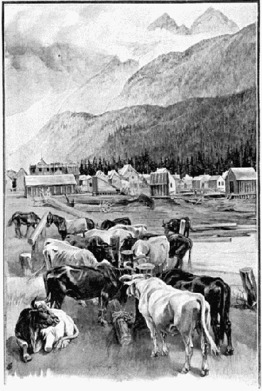 UN CONVOI DE BTAIL DANS LA GRANDE RUE DE SKAGWAY. DESSIN
DE MADAME PAULE CRAMPEL, D'APRS UN CROQUIS DE L'AUTEUR.