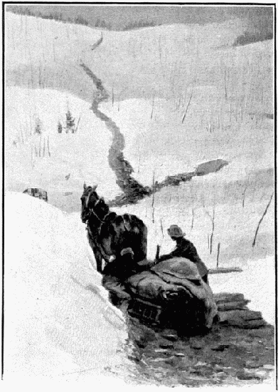 LE SENTIER DES CHEVAUX MORTS. DESSIN D'A. PARIS, D'APRS
LA PHOTOGRAPHIE DE M. GOLDSCHMIDT.