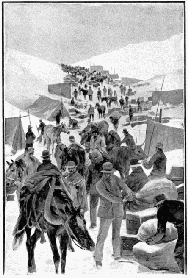 LE SOMMET DU WHITE PASS.—DESSIN D'A. PARIS, D'APRS LA
PHOTOGRAPHIE DE M. GOLDSCHMIDT.