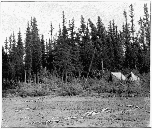 LA FORT  CARIBOU CROSSING. D'APRS UNE PHOTOGRAPHIE DE
M. GOLDSCHMIDT.