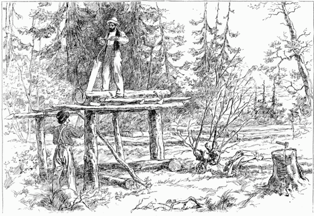 LE SCIAGE DES PLANCHES  CARIBOU CROSSING.—DESSIN DE
VOGEL, D'APRS LE CROQUIS DE L'AUTEUR.