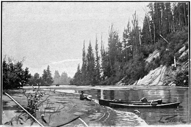EMBOUCHURE D'UN CREEK.—DESSIN DE GOTORBE, PHOTOGRAPHIE
DE LA ROCHE,  SEATTLE.