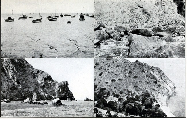 1. Harbor, Catalina Island. 2. Seals on Rocks at Catalina
Island. 3. Catalina Island. 4. Home of Owner of Catalina Island.