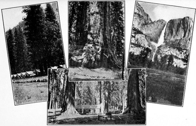 1. Camp Ahwahnee, Yosemite Valley. 2. Grizzly Giant,
Mariposa Big Trees. 3. Yosemite Falls. 4. Cabin in Mariposa Grove.