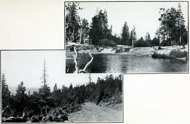 1. In the Lower Sierras, California. 2. Eastern Slope of
Sierras.