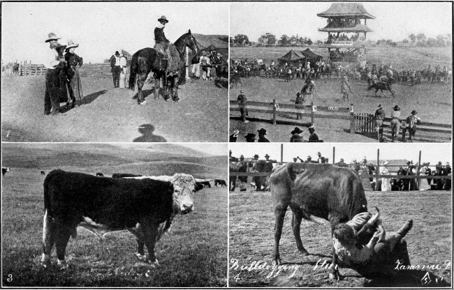 1. and 2. Cowboy Rodeo, Stockton, Cal. 3. Hereford Bull,
Wyoming. 4. Cowboy Rodeo, Laramie, Wyoming.