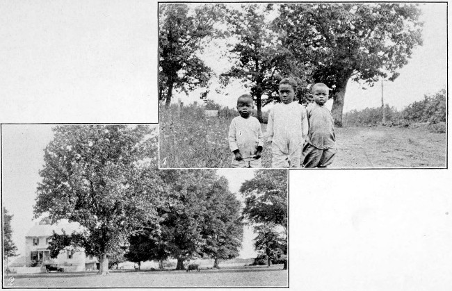 1. Three Young Virginians. 2. An Old Homestead on
Tidewater, Va.