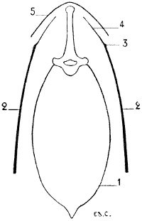 Fig. 14