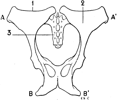 Fig. 53