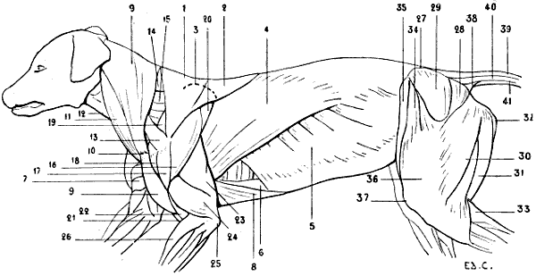 Fig. 68