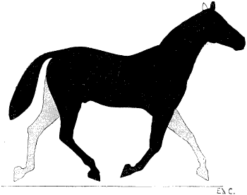 Fig. 127