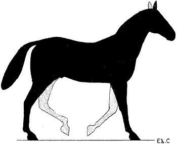 Fig. 129