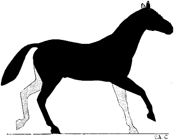 Fig. 132