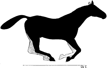 Fig. 134