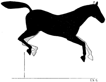 Fig. 141