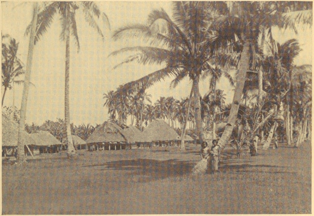 I THOUGHT THE VILLAGE BACK OF APIA, SAMOA, WAS DESERTED, BUT IT
WAS ONLY THE NOON HOUR